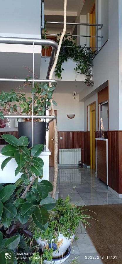 Hotel Narcea Valles エクステリア 写真